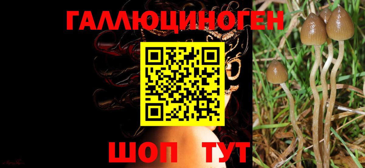Губкин  Галлюциногенные грибы ЛСД  Вход с VPN 