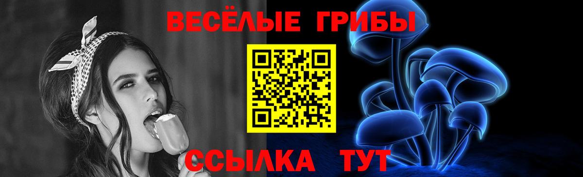 Галлюциногенные грибы Psilocybe Губкин